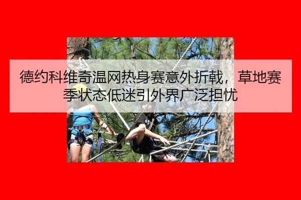 de-yue-ke-wei-qi-wen-wang-re-shen-sai-yi-wai-zhe-ji-cao-di-sai-ji-zhuang-tai-di-mi-yin-wai-jie-guang-fan-dan-you-2-171.jpg